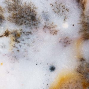 pierre agate mousse histoire