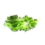 pierre moldavite caractéristiques