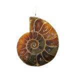 pendentif-ammonite-pierre-brute