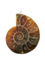 pendentif-ammonite-pierre-brute-01