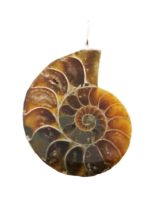 pendentif-ammonite-pierre-brute-02