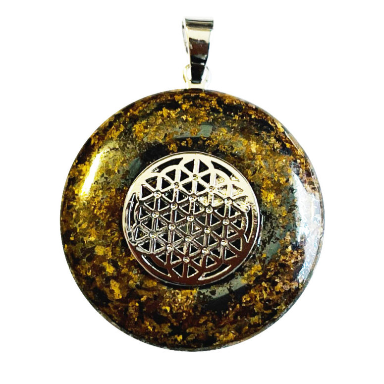 Pendentif Bronzite - PI chinois ou Donut