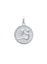 14821101-pendentif-verseau-signe-astrologique-2-argent.jpg