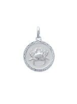 14821106-pendentif-cancer-signe-astrologique-2-argent.jpg