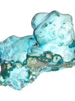 chrysocolle-du-congo-mccs01-01.jpg