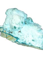 chrysocolle-du-congo-mccs01-02.jpg