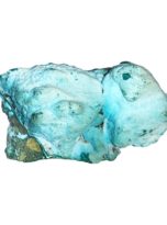 chrysocolle-du-congo-mccs01-03.jpg