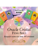 livre-lithotherapie-oracle-cristal-feng-shui-reussir-votre-vie-avec-44-cristaux-01.jpg