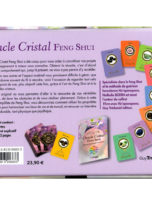 livre-lithotherapie-oracle-cristal-feng-shui-reussir-votre-vie-avec-44-cristaux-02.jpg