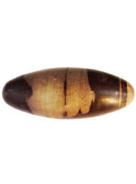 pierre-roulee-shiva-lingam-20cm-02.jpg