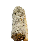 sauge-blanche-palo-santo-10cm-02.jpg