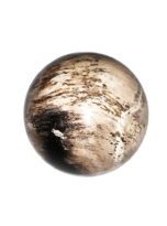 sphere-bois-fossilise-40mm-01.jpg